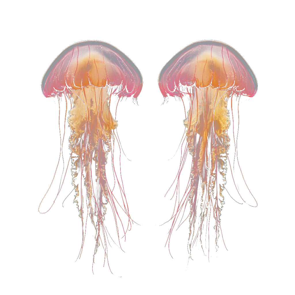 Affiliate vs Referral Program