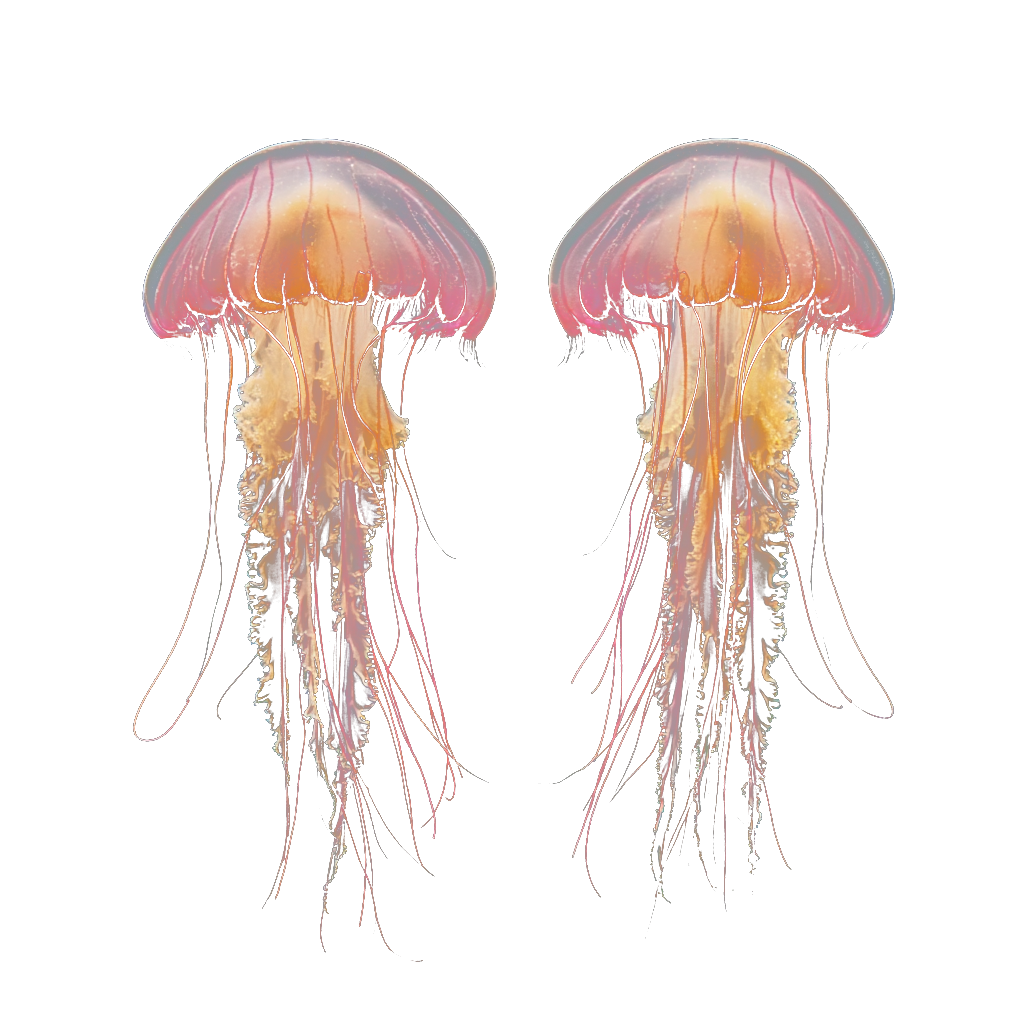 How to Regain Momentum After a Stalled Launch